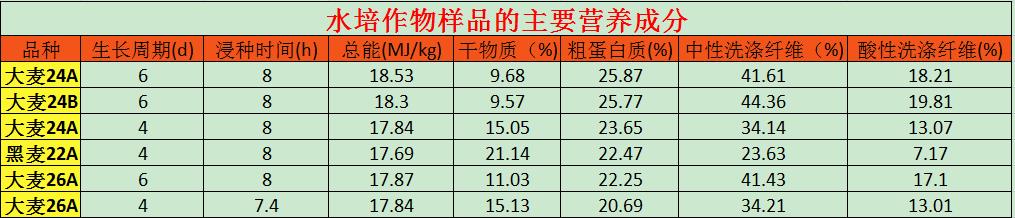 水培牧草-水培牧草品種