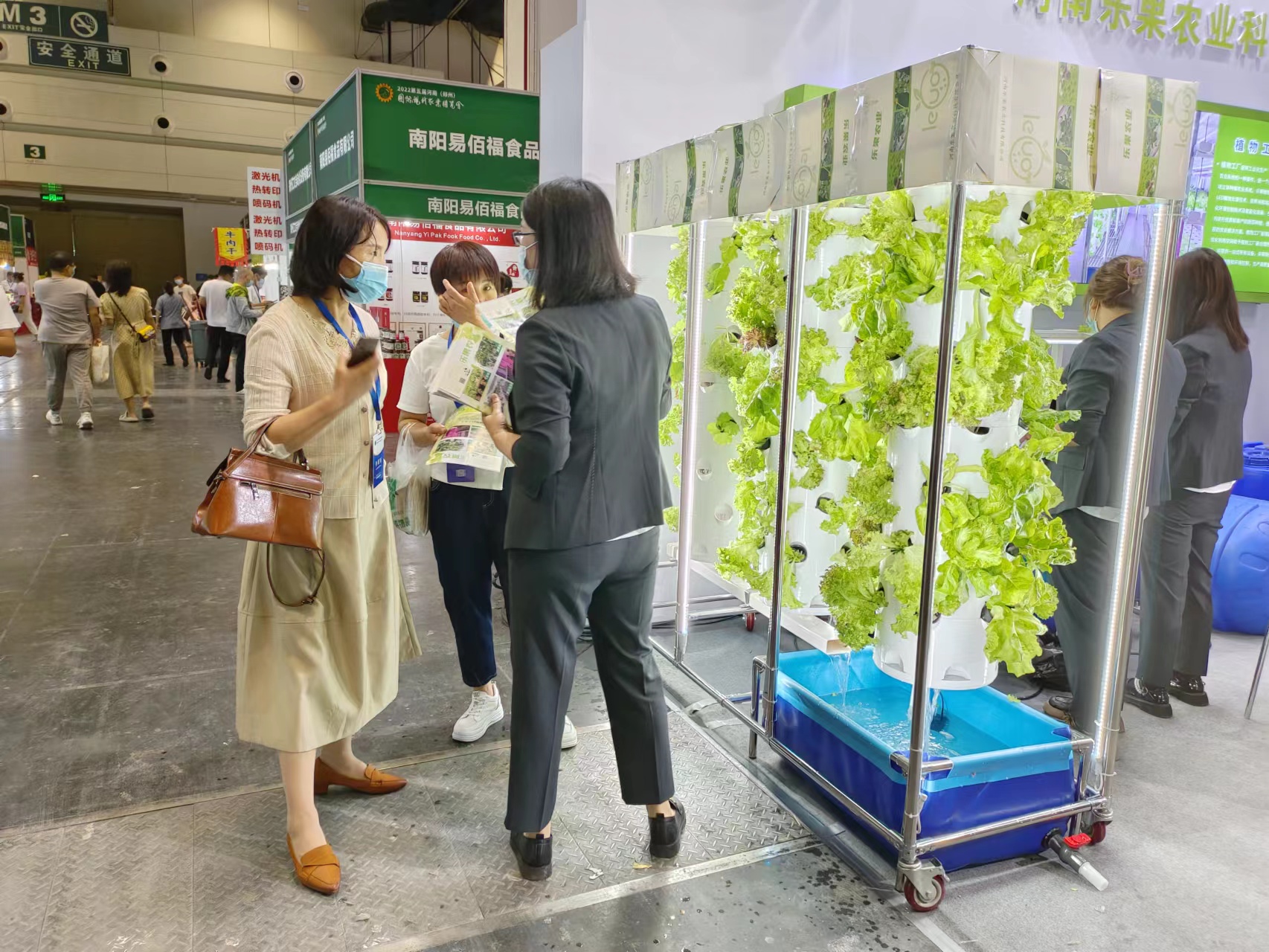 水培立柱種植蔬菜